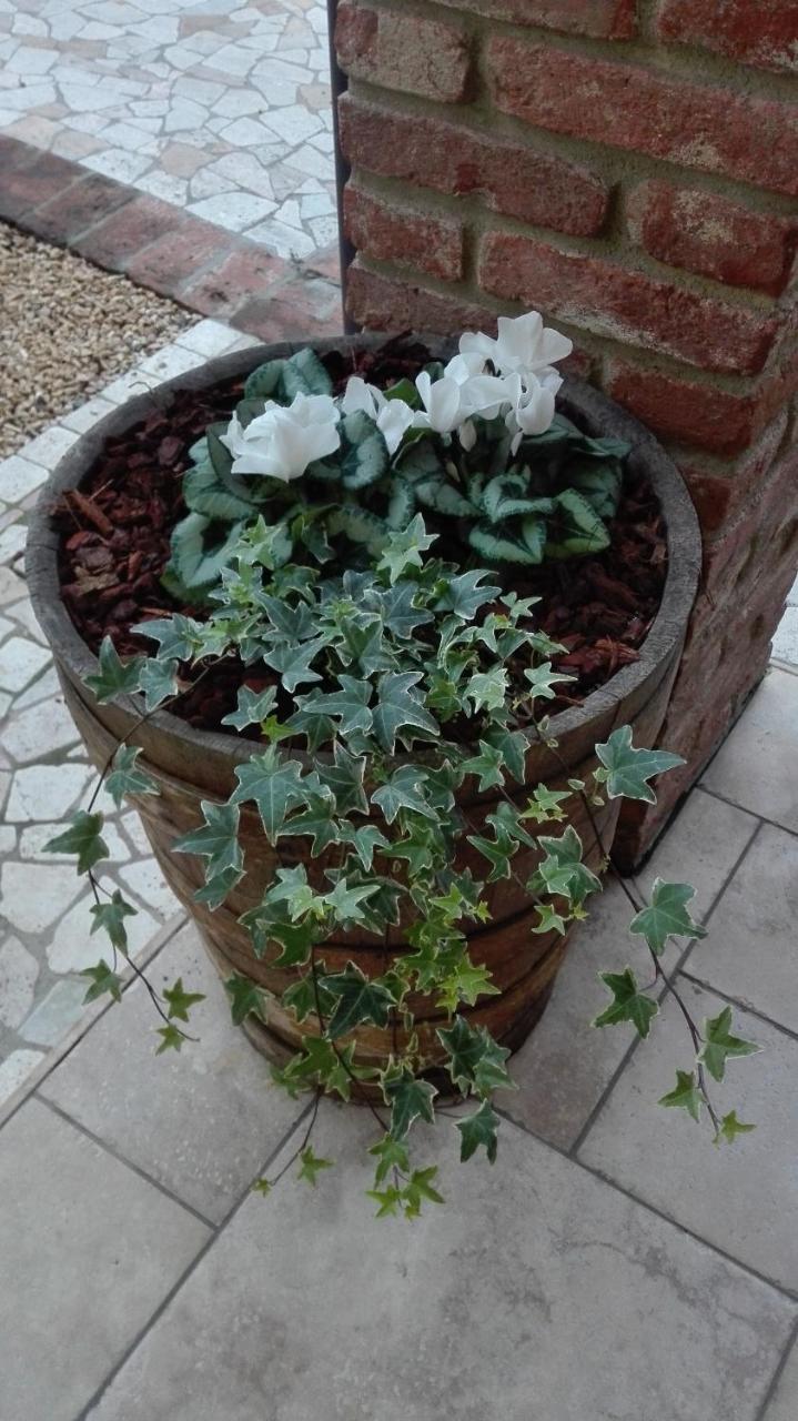 Residenza Airone Guest House Vicenza Bagian luar foto