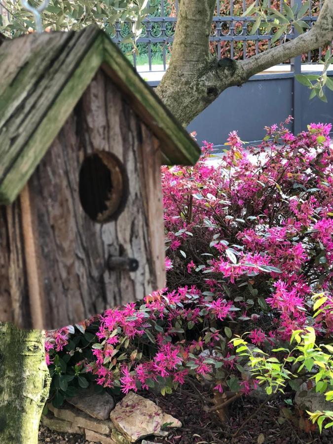 Residenza Airone Guest House Vicenza Bagian luar foto